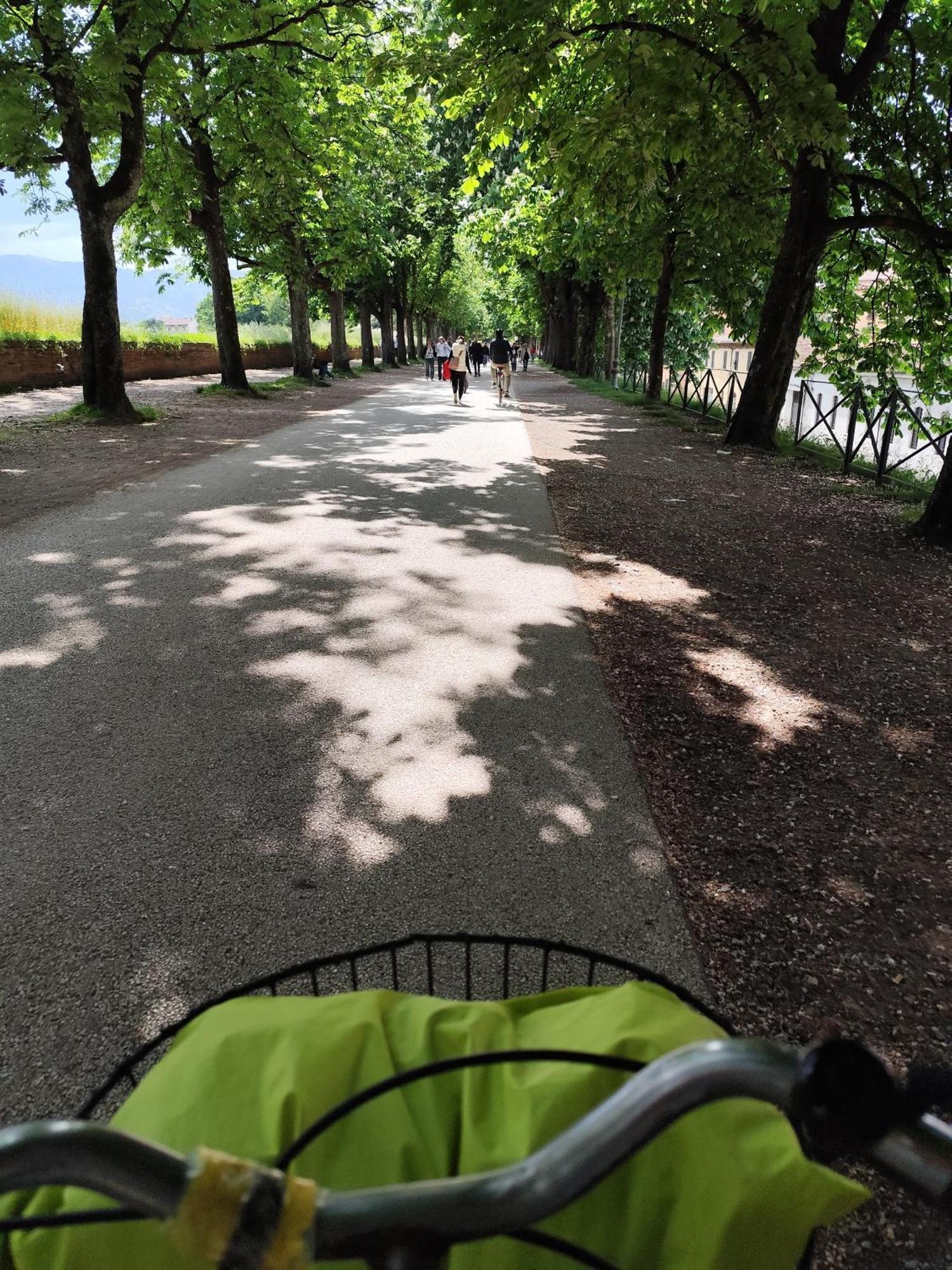 Apartamento Casa Rosina + Box Per Auto 2 Bici 1,5km Dalle Mura Lucca
